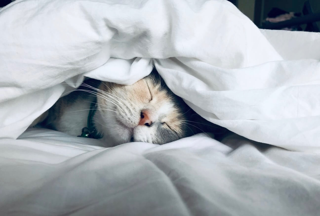 Le sommeil : regarder le sujet et réserver un temps d’écoute